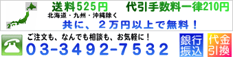 �ˋ��|����.com�́@�u���������K�C�h�i�ȈՔŁj�v